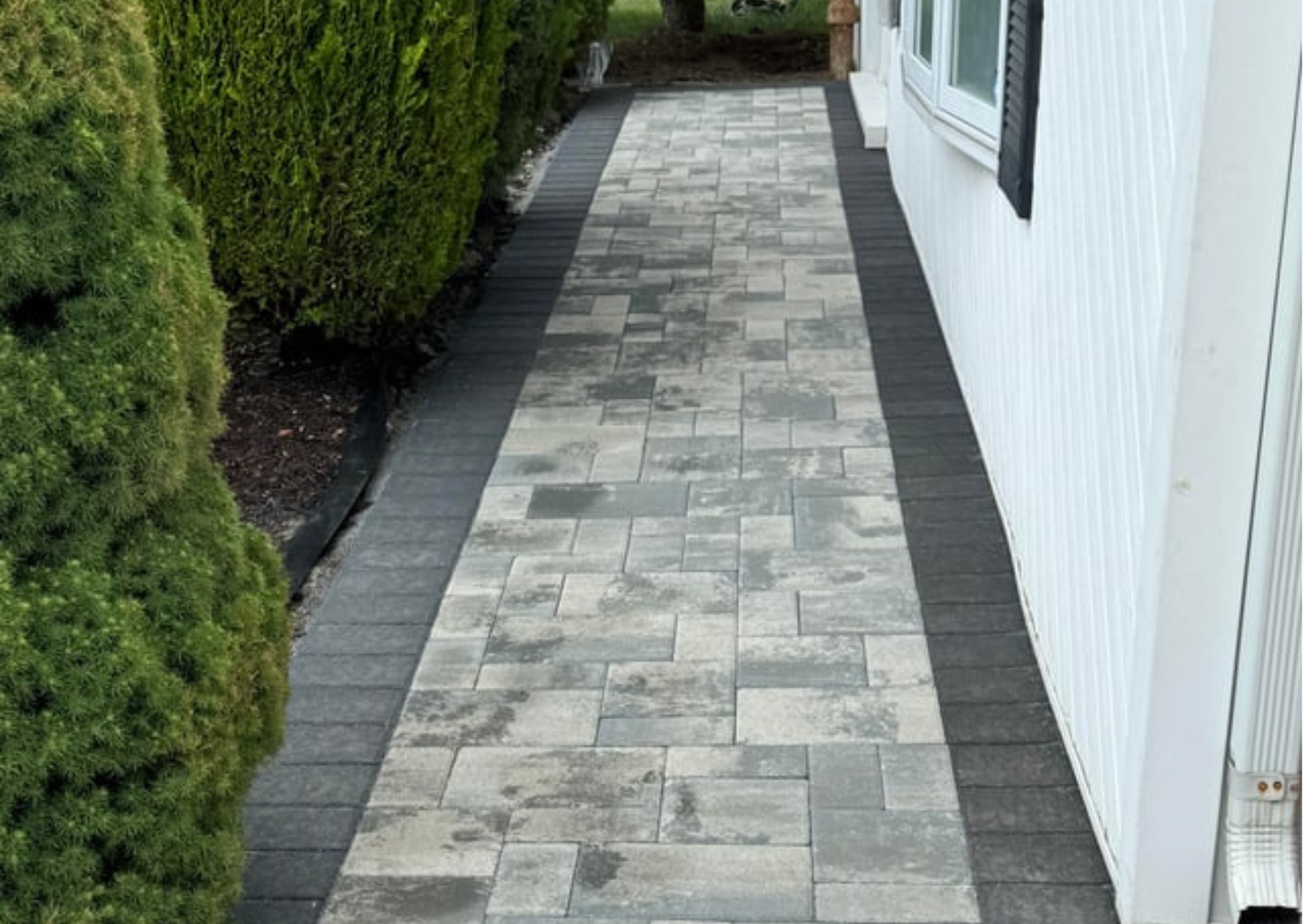 Untitled design_20260116_121752_0000