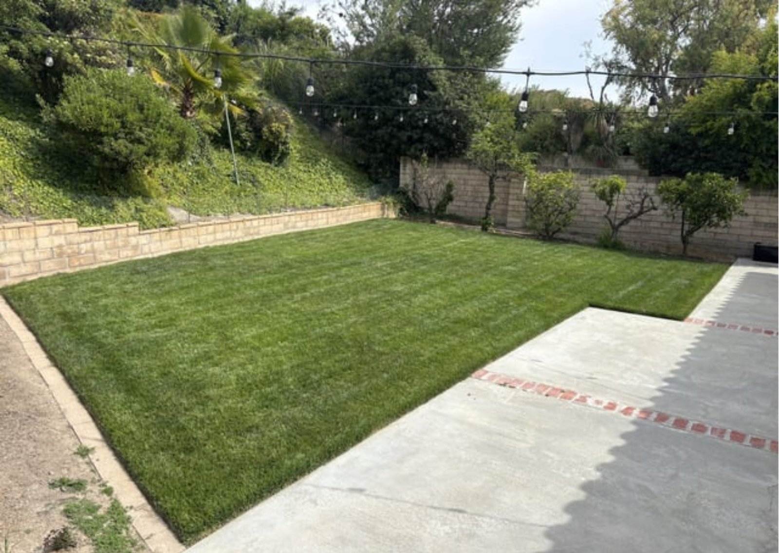 Untitled design_20260117_061128_0000