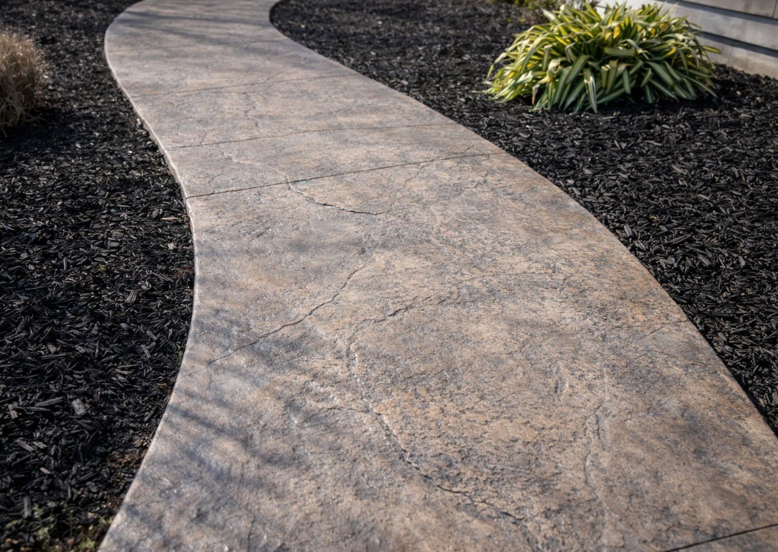 Untitled design_20260121_150009_0000