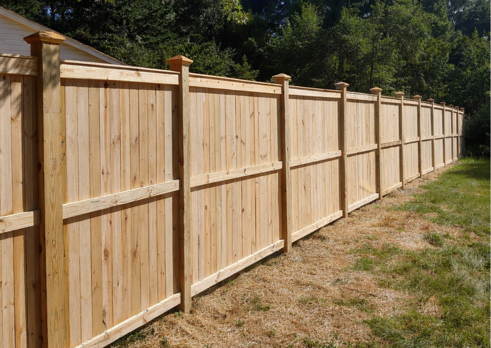 Untitled design_20260213_051744_0000